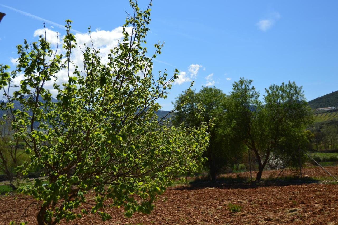 Cortijo Petra Bed & Breakfast Villanueva del Rosario Luaran gambar