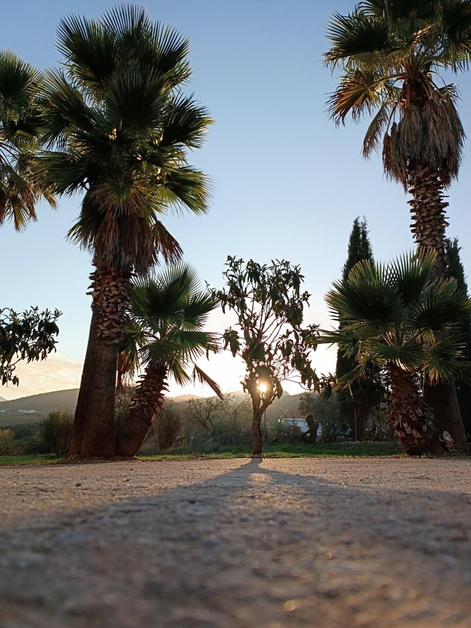 Cortijo Petra Bed & Breakfast Villanueva del Rosario Luaran gambar